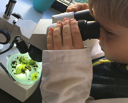 Dete u laboratorijskom mantilu posmatra mahovinu kroz mikroskop