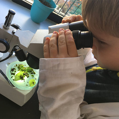 Dete u laboratorijskom mantilu posmatra mahovinu kroz mikroskop