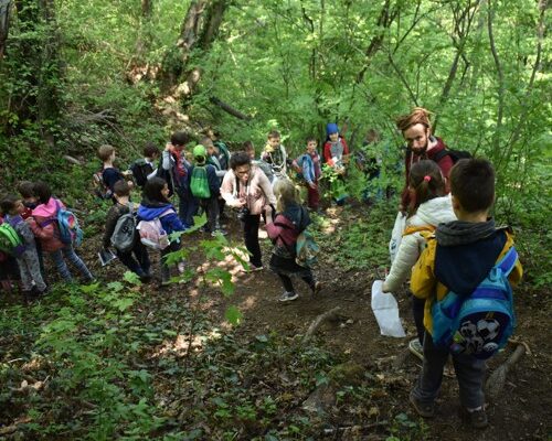 Deca i nastavnici planinare na izletu u sumi na Fruskoj gori
